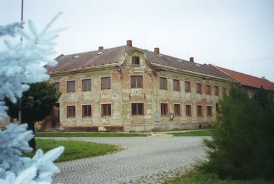 No. 81
